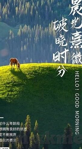 成人视频-成人视频，网络时代的文化现象与伦理考量