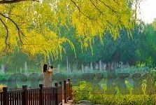 麻豆传媒免费视频网站-合法性警示，免费观看麻豆传媒视频网站的陷阱