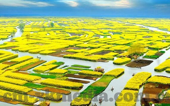 麻豆传媒是什么梗-网络迷思，麻豆传媒现象解析