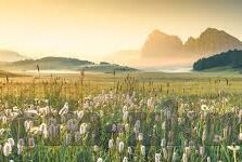 麻豆传媒映画 app-探索多元娱乐，麻豆传媒映画APP的魅力之旅