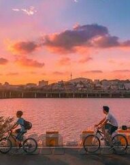 麻豆免费传媒视频-麻豆免费传媒视频，优质内容的网络盛宴